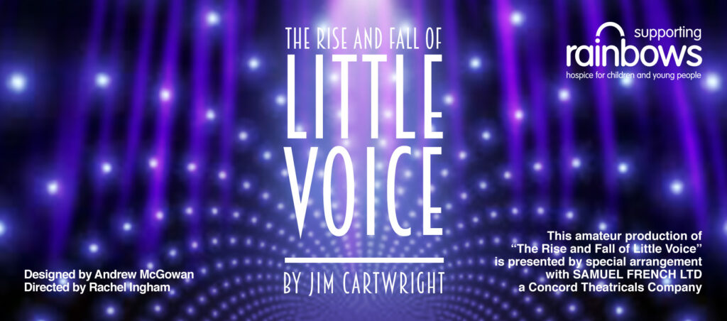 Little Voice Web Banner 1