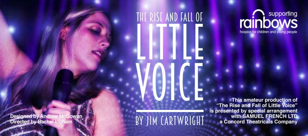 Little Voice Web Banner 2